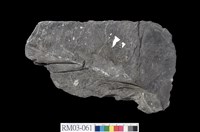 藏品(片岩)的圖片